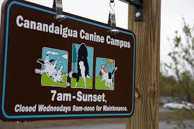 CANINE CAMPUS