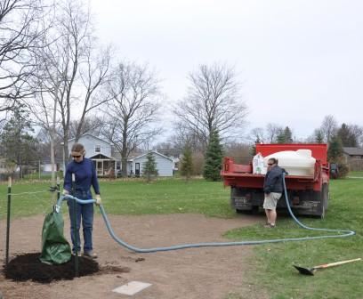 Volunteers adding water to the gator bag